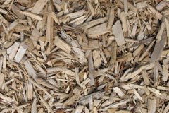 biomass boilers Waen Wen
